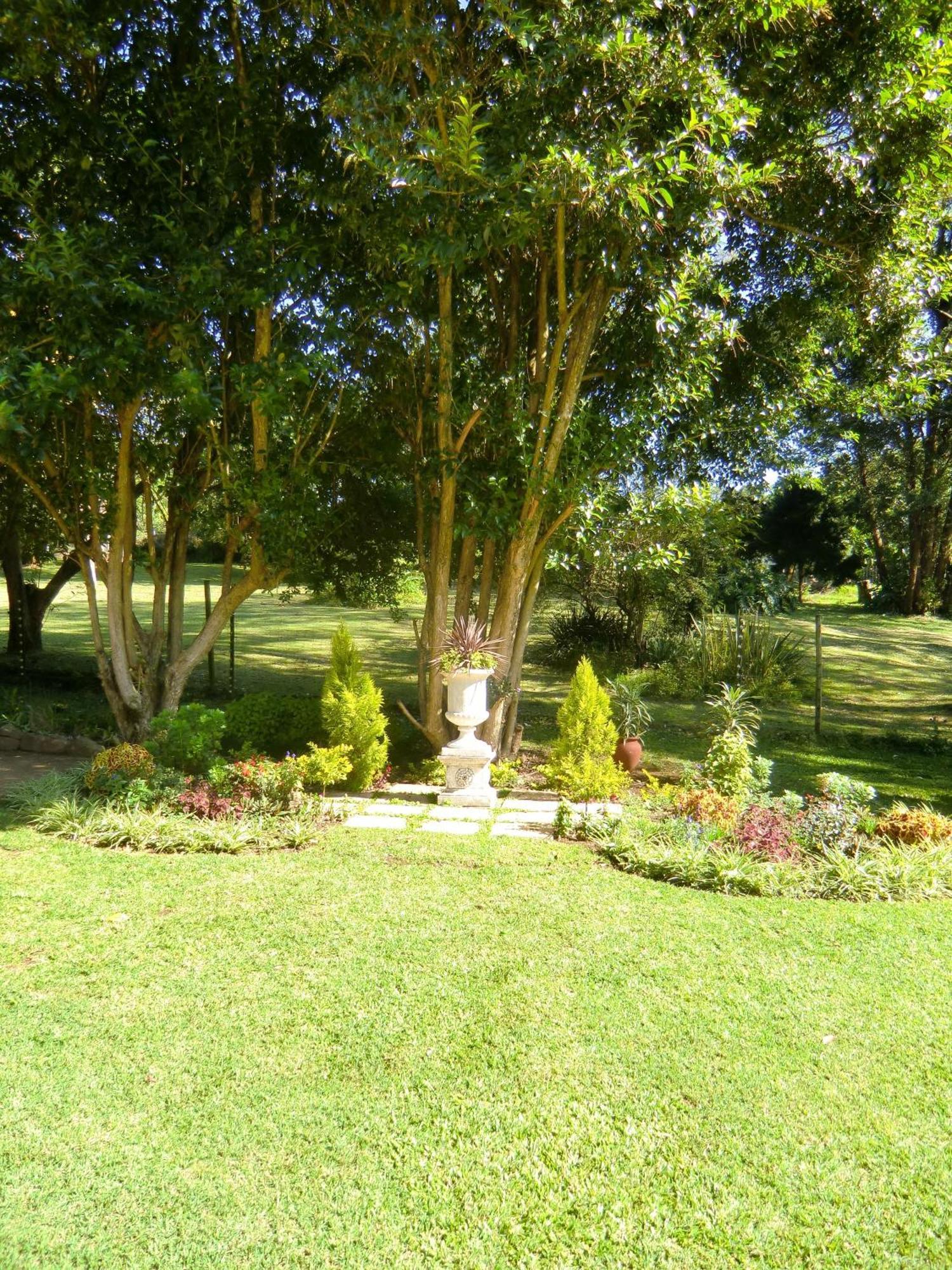 Warrens Guest House Hillcrest Værelse billede
